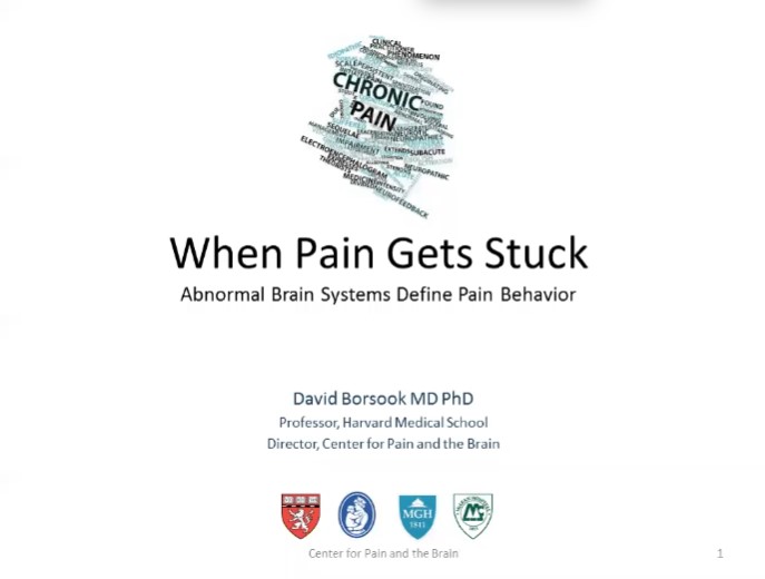 Dr. David Borsook - When Pain Gets Stuck: Abnormal Brain Systems Define Pain Behavior
