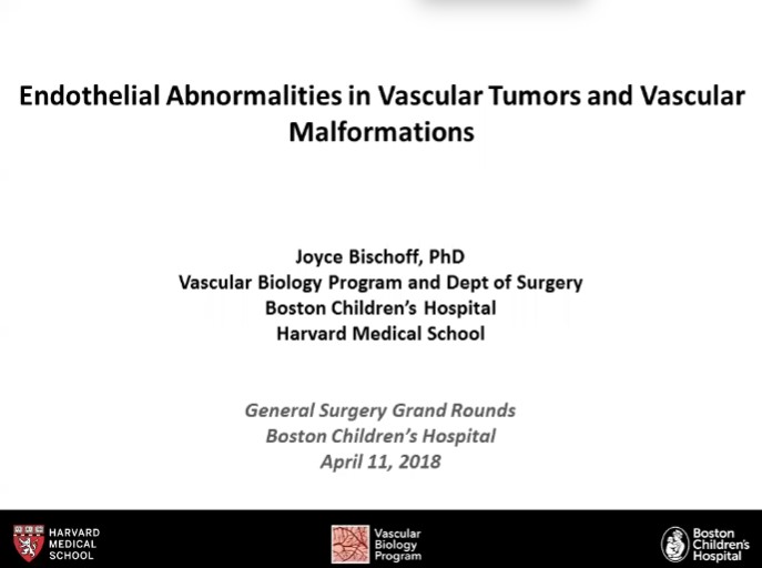 Joyce Bischoff, PhD - Endothelial Abnormalities in Vascular Tumors and Vascular Malformations