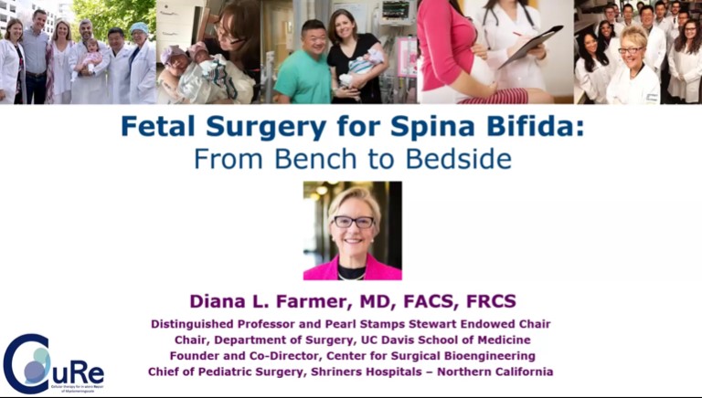 Dr. Diana L. Farmer - Fetal Surgery for Spina Bifida: From Bench to Bedside