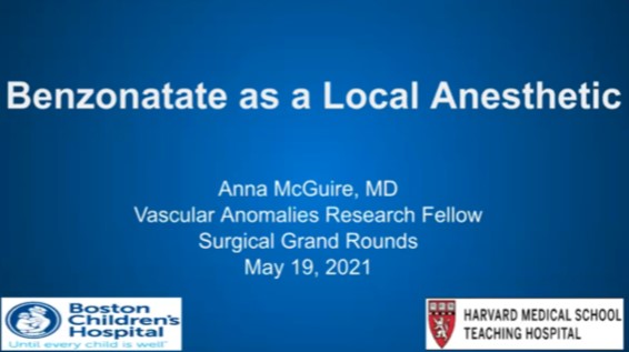 Dr. Anna McGuire, Dr. Brianna Slatnick, and Dr. Jenny Yu - Research Fellowship in Review