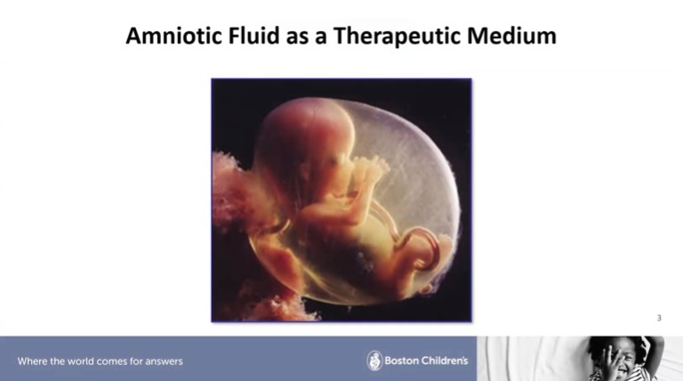 Dr. Emily Scire, Dr. Sarah Wang, and Dr. Megan Chiu - Research Fellowship in Review