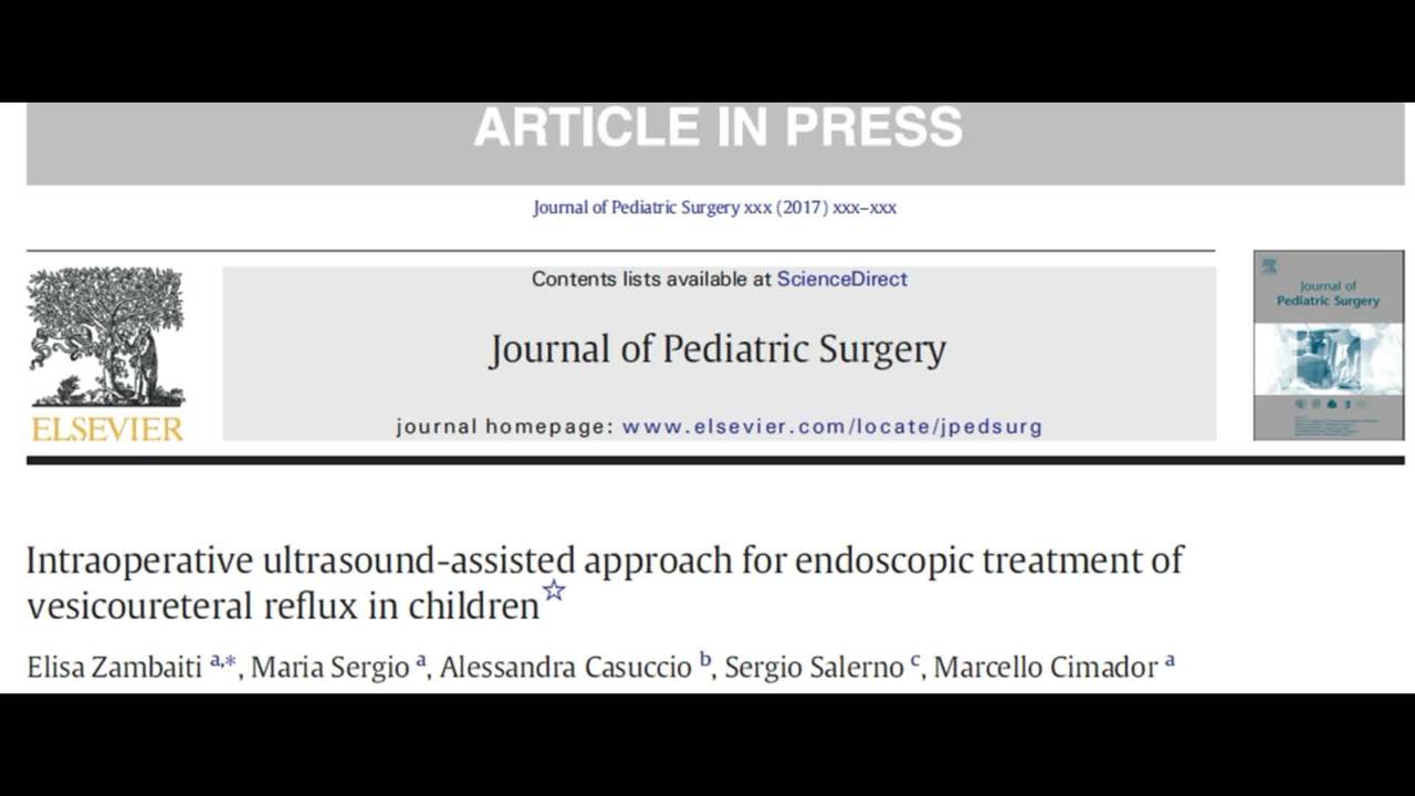 Intraoperative ultrasound-assisted approach for endoscopic treatment of...