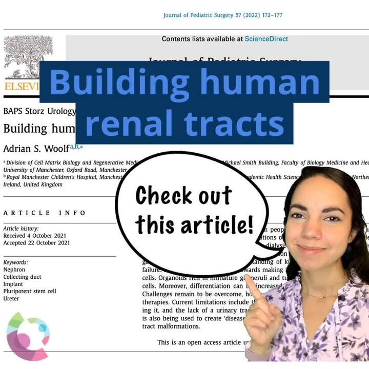 Building human renal tracts - JPS article review