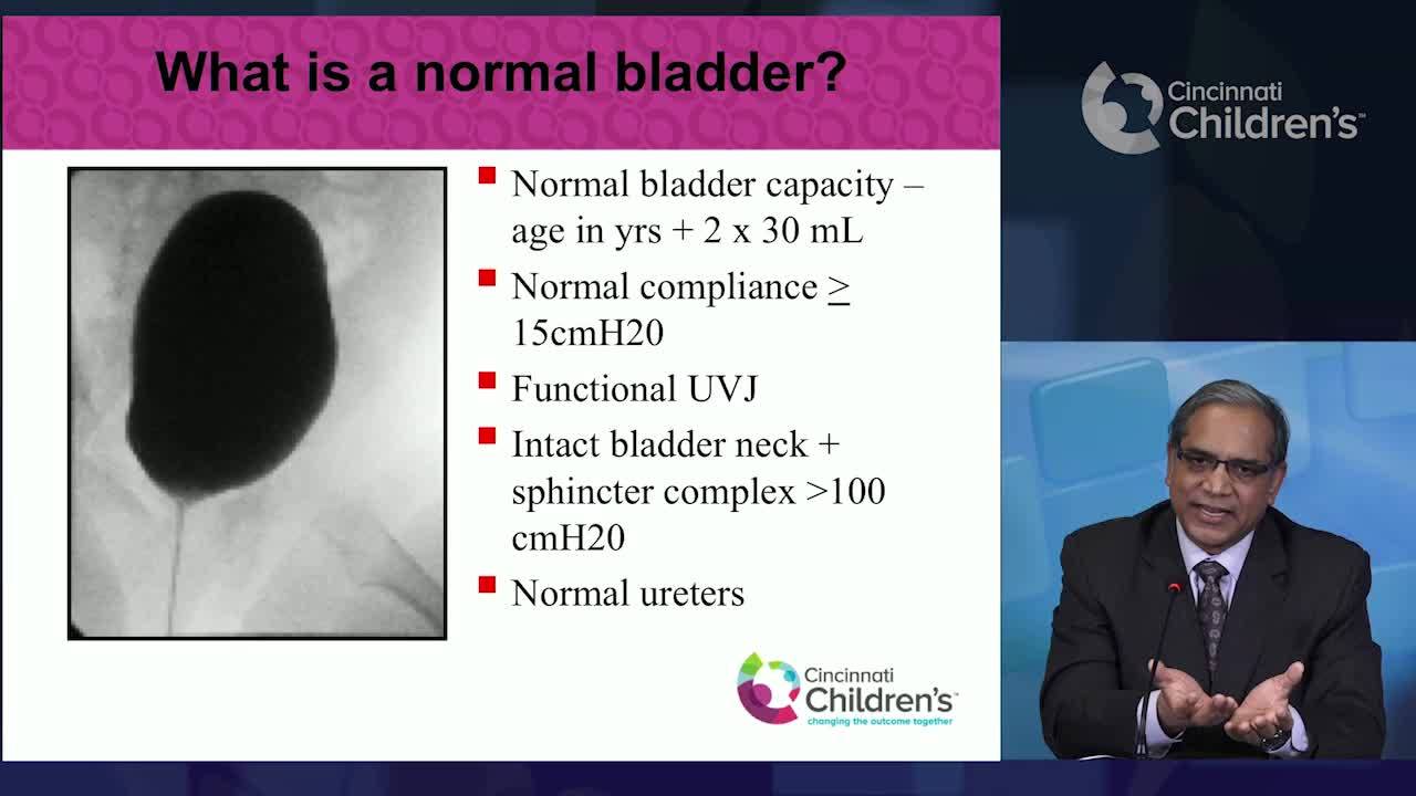 What Is A Normal Bladder