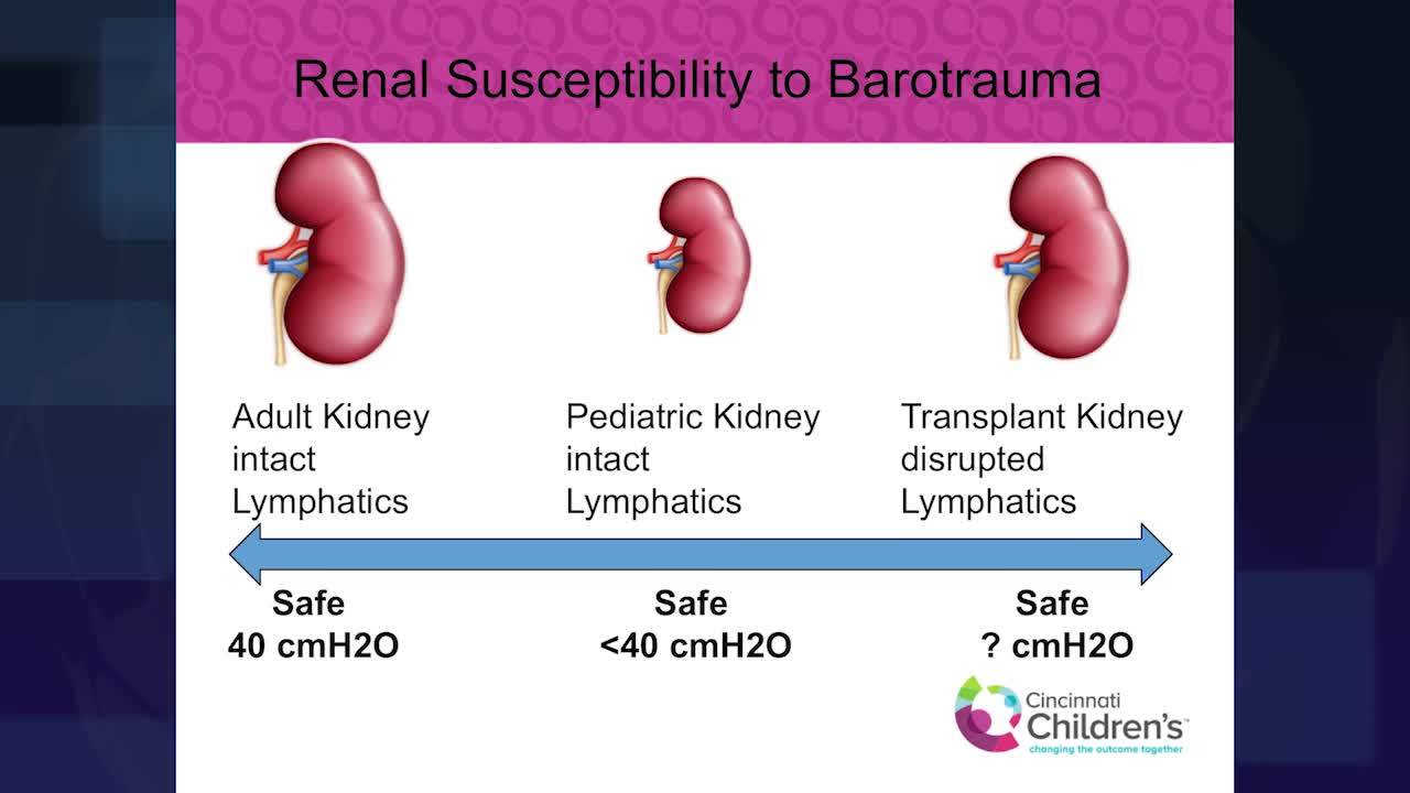 Renal Susceptibility to Barotrauma