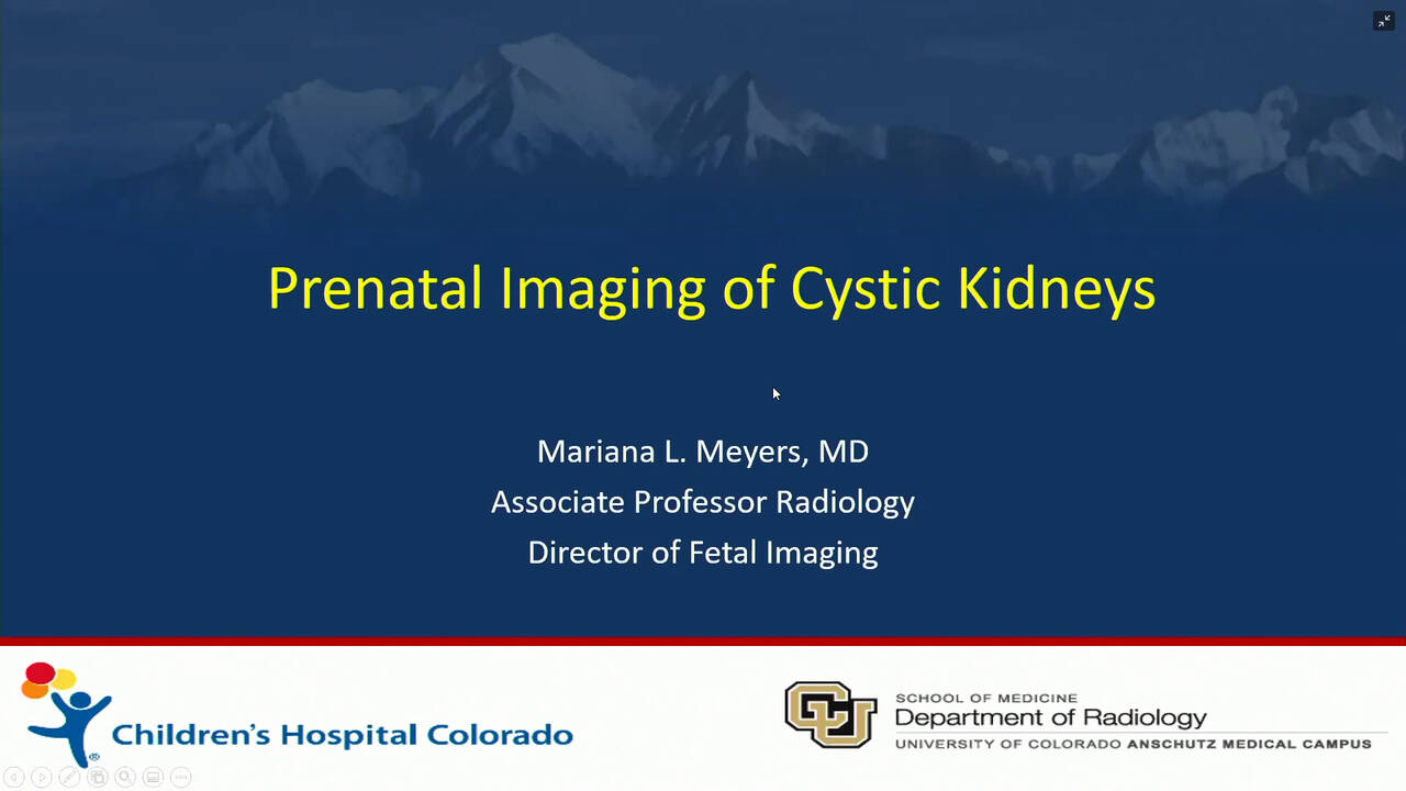 Prenatal Imaging of Cystic Kidneys