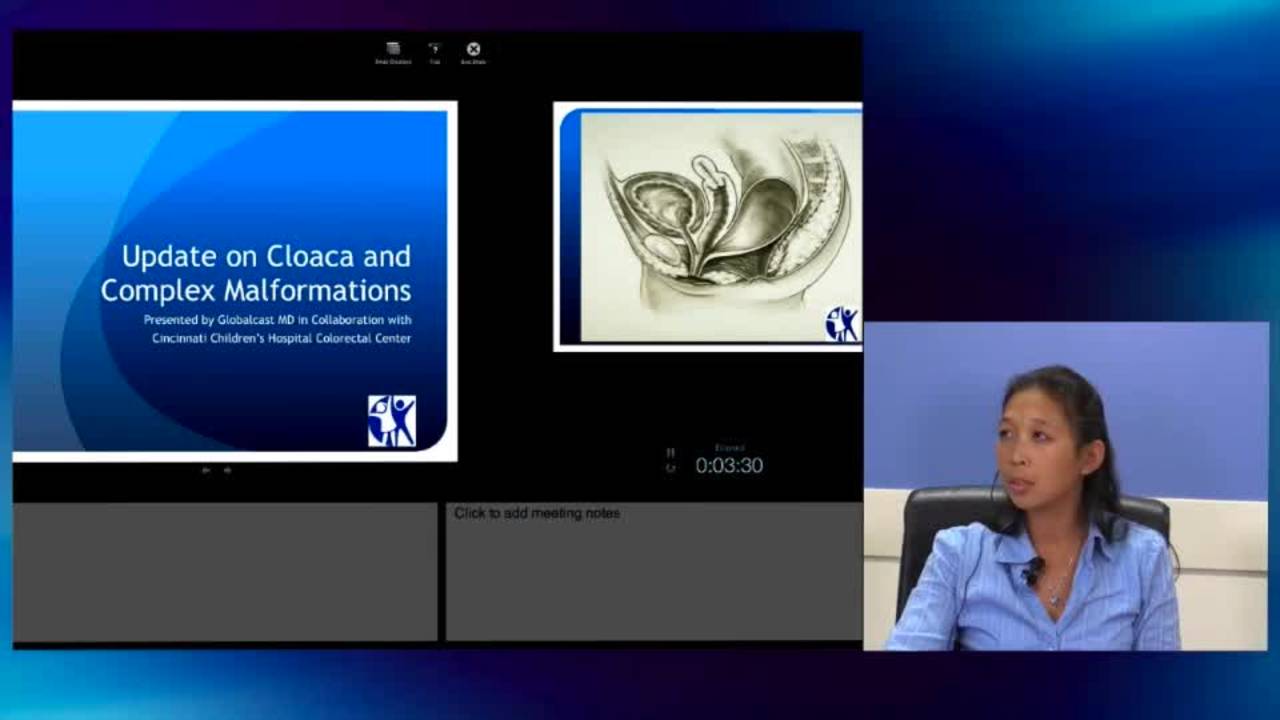 Cloaca - Prental Imaging & Diagnosis - Counseling